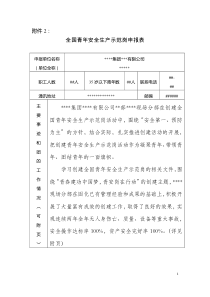 全国青年安全生产示范岗申报材料