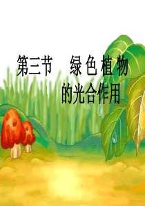 生物：第二单元 第一章 第三节 绿色植物的光合作用 课件(济南版七年级上)