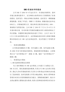 2011年SMS有效性评价报告