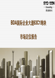 北京BDA国际企业大道63C1地块产品定位报告(140p)