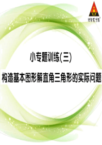 专题训练--构造基本图形解直角三角形的实际问题