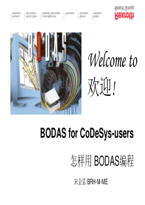 BODAS编程培训