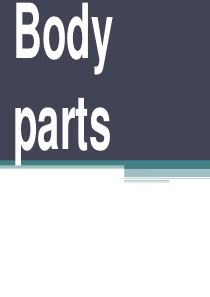 Body_parts_身体部位英语讲解(附图)