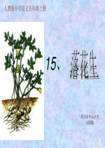 说课稿落花生ppt(1)