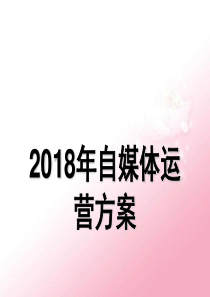 2018年自媒体运营方案[优质ppt]