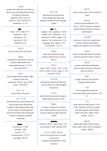 陈琦词汇分类整理卡片