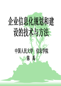 中国人民大学信息学院陈禹-企业信息化规划和建设的技术与方法