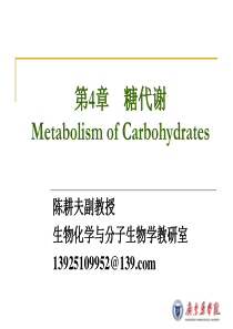 生物化学课件-糖代谢