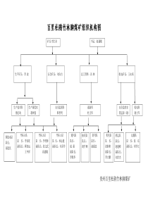 竹林脚煤矿组织机构图