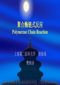 聚合酶链式反应Polymerase-Chain-Reaction