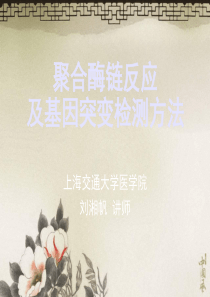 聚合酶链反应及基因突变检测方法.ppt