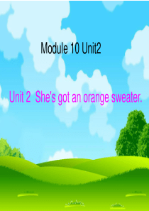 新标准英语第二册M10 U2 Shes got an orange sweater1