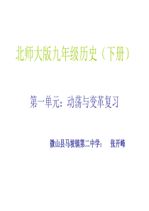 北师大版九年级历史下册第一单元复习课件