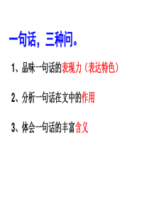 2014年高考语文复习阅读指导课件：现代文之散文阅读题型模式及解答法 2