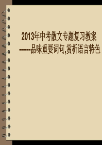 2013年中考语文  现代文阅读指导复习课件2 新人教版