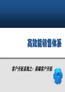 高效能销售体系高端客户的现状开拓技巧保单设计理念(55页)