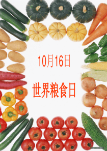 2014世界粮食日主题班会