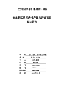 《工程经济学》课程设计报告doc