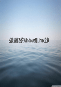 浅谈操作系统Windows和Linux之争