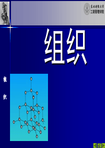 《管理学组织》PPT课件