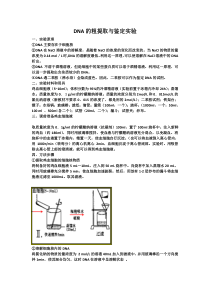 DNA粗提取和鉴定实验