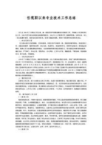 任现职以来专业技术工作总结