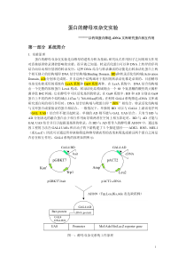 酵母双杂实验原理及技术