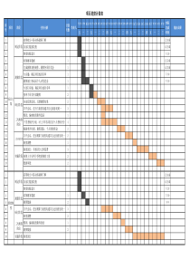 项目计划推进表