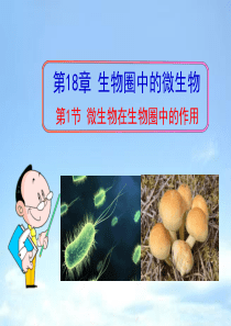 18.1微生物在生物圈中的作用--