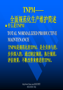 质量管理TNPM