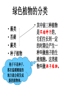 第一章生物圈中有哪些绿色植物复习优质介绍