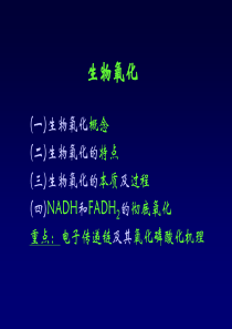 生物氧化x.ppt