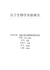 SDS-聚丙烯酰胺凝胶电泳实验报告