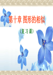 数学：第十章图形的相似复习课件(苏科版八年级下)