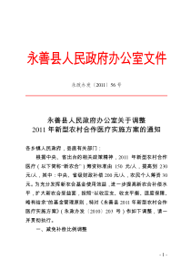 永善县人民政府办公室关于调整2011年新型农村合作医疗实施方案的通知