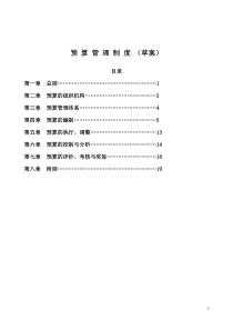 某医院预算管理制度(草案)DOC