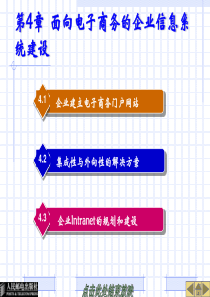 第4章  面向电子商务的企业信息系统建设