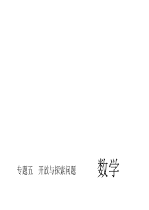 2016届中考精英总复习数学专题习题课件：专题五 开放与探索问题(共25张PPT)