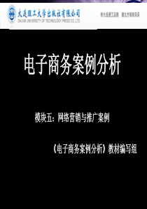 模块五：网络营销与推广案例