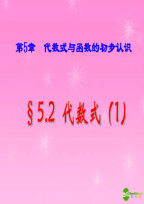 七年级数学上册 5.2.1代数式课件 青岛版