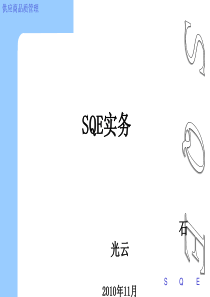 sqe操作实务[69P][3.07MB]