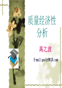 质量经济分析(高之波)