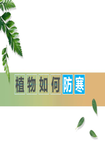 植物如何防寒