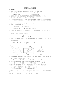 中考数学三角形专题训练