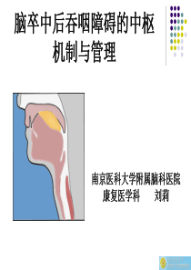 脑卒中后吞咽障碍的中枢机制与管理