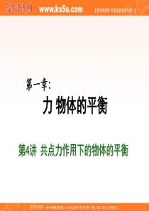 2012届高考物理总复习重难点诠释、典例剖析课件：第一章 力 物体的平衡 第4讲 共点力作用下的物体