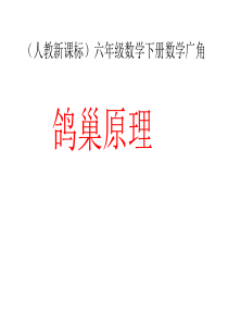 人教版六年级数学下册数学广角(鸽巢原理)