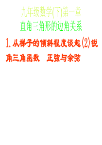 [名校联盟]甘肃省张掖市临泽县第二中学九年级数学下册第一章《锐角三角函数 正弦与余弦》课件