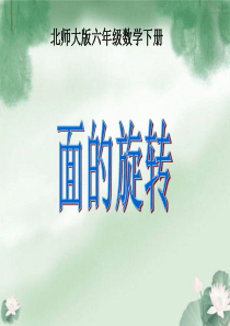 《面的旋转》PPT课件