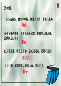 绿色蝈蝈